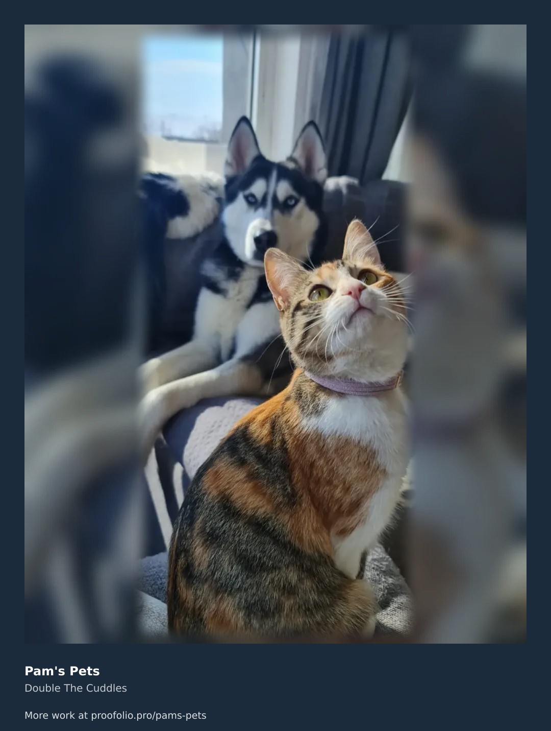 Sun-kissed husky soaking up window rays \u2014 cozy tranquility at its finest. \ud83d\udc84 #pamspetsservice #naptimewithboris
https://proofolio.pro/pams-pets