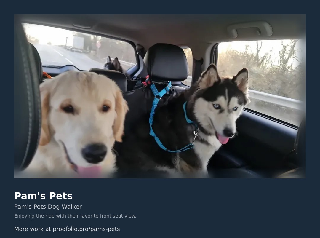 Sun-kissed husky soaking up window rays \u2014 cozy tranquility at its finest. \ud83d\udc84 #pamspetsservice #naptimewithboris
https://proofolio.pro/pams-pets