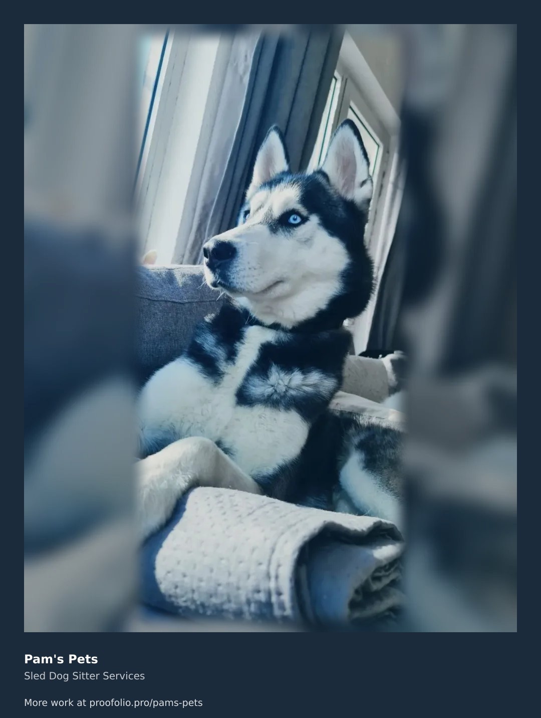 Sun-kissed husky soaking up window rays \u2014 cozy tranquility at its finest. \ud83d\udc84 #pamspetsservice #naptimewithboris
https://proofolio.pro/pams-pets