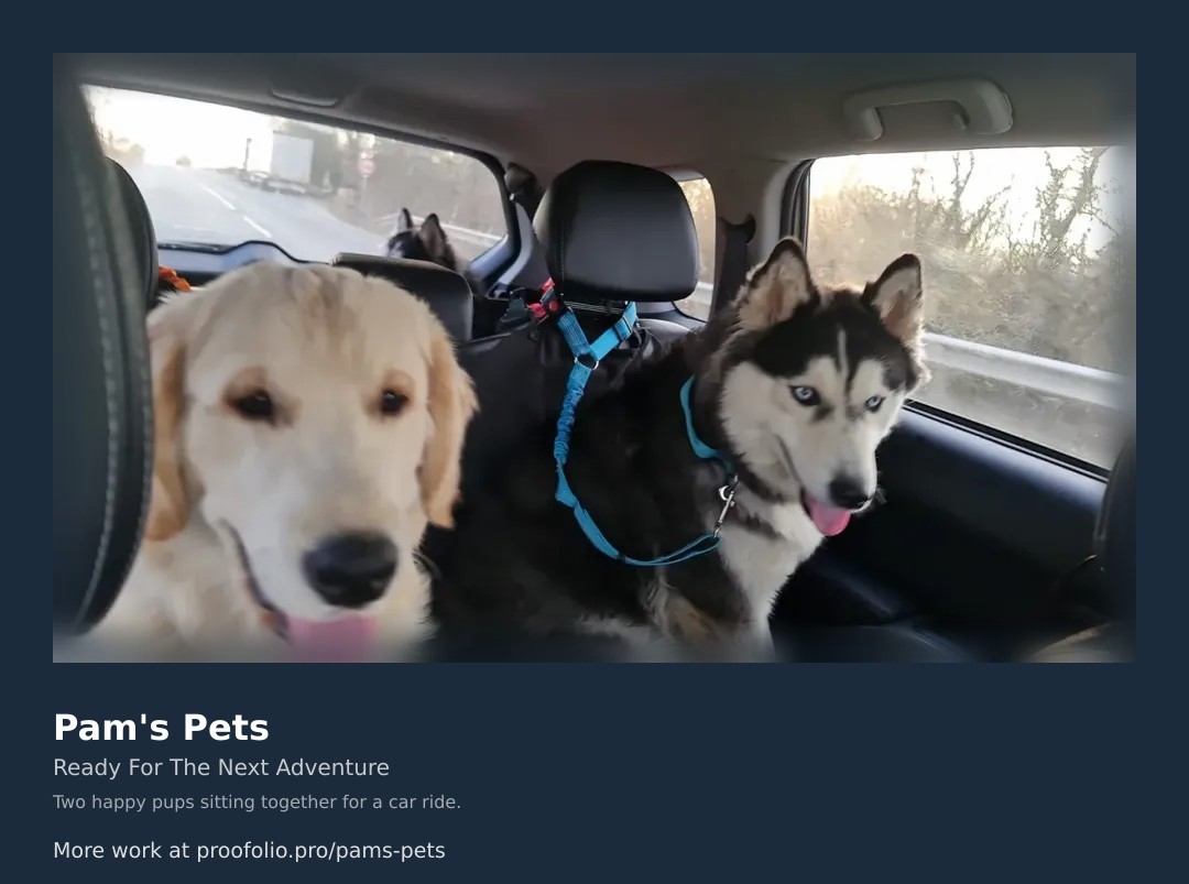 Whether it's an epic car ride to a new adventure or a quiet afternoon of belly rubs, we're here for all of it! From adventurous Huskies on the move to being a hands-on companion for your favorite feline, we treat every pet like part of the family. We love seeing these happy faces, whether they are exploring the great outdoors or relaxing at home. Check out our full portfolio and request a free quote today! ๐ถ๐ฑ #petsitting #dogwalking #petcare #truropets
https://proofolio.pro/pams-pets
