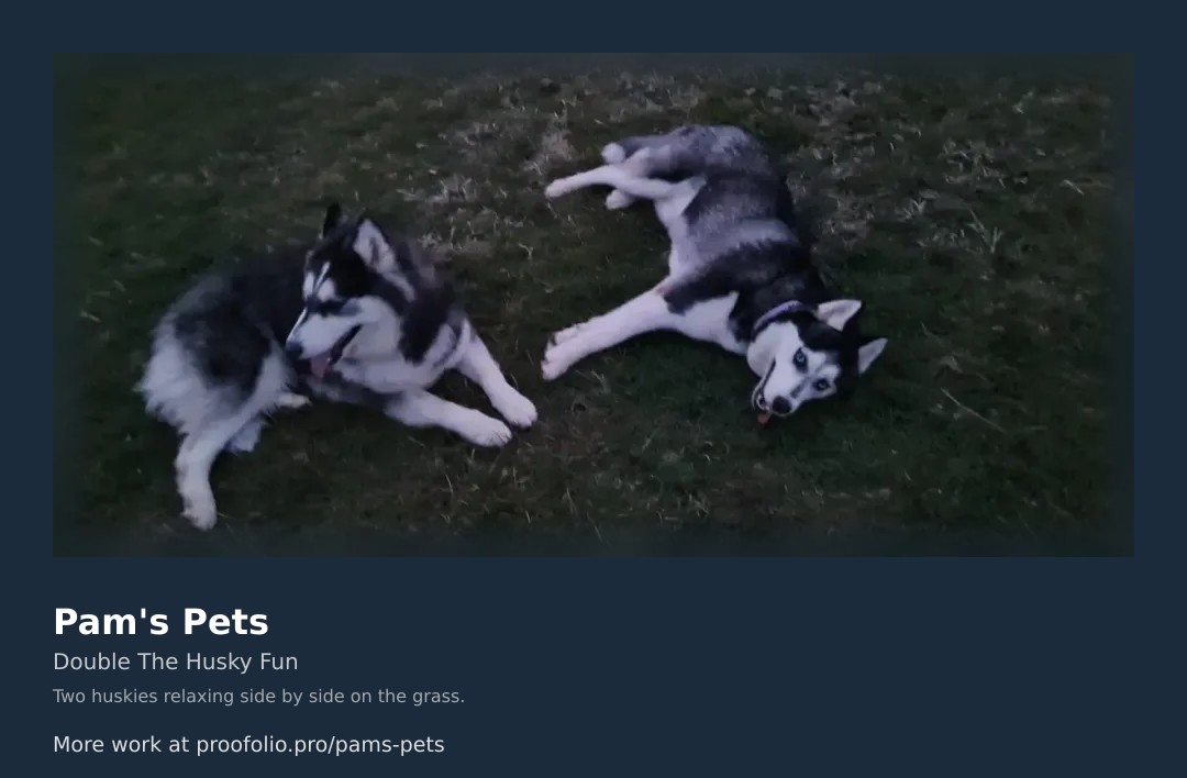 Pam's Pets โ new job (18 August 2026)