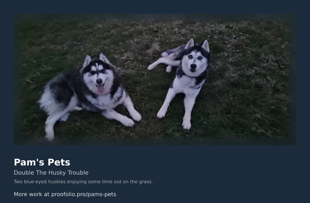 Pam's Pets โ new job (18 August 2026)
