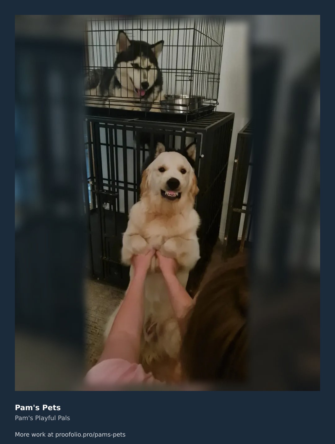 Caught in the middle of a heartwarming moment at Pam's Pets! Watch as our friendly canine greets the day with a joyful 'good morning' paw-shake. In the background, a fluffy cat snoozes peacefully, adding to the cozy atmosphere. Whether it's a walk in the park or a cozy staycation at home, our four-legged friends are always up for an adventure (or a snuggle). Trust us to keep your pets' tails wagging and their spirits high while you're away. Ready to treat your fur babies to first-class pampering? Request a free quote from Pam's Pets today and let's embark on a tail-wagging adventure together! ๐พ https://proofolio.pro/pams-pets