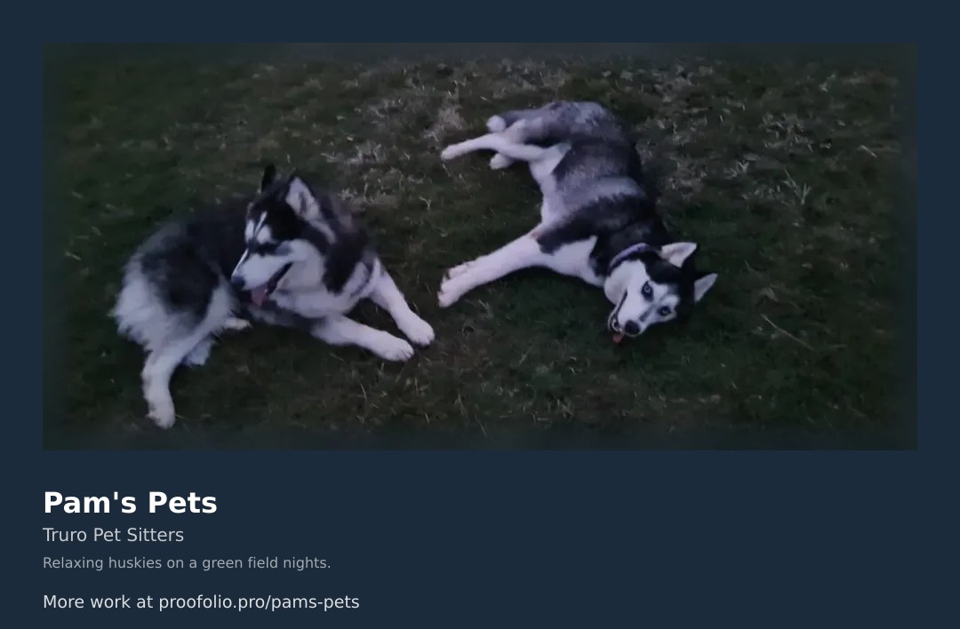 Those evening chills? Theyโre not a bother for these two seasoned pros at Pam's Pets. Located in Truro and surrounding areas, our dog walking and pet sitting services ensure every pup gets a night under the stars. Witness the ultimate chill session โ two huskies lounging like rockstars in the great outdoors! Click through to see more moments of pet bliss and reach out for a free quote to elevate your furry friendโs life โ just like these local legends. #HuskyLife #ChillAndUnwind https://proofolio.pro/pams-pets