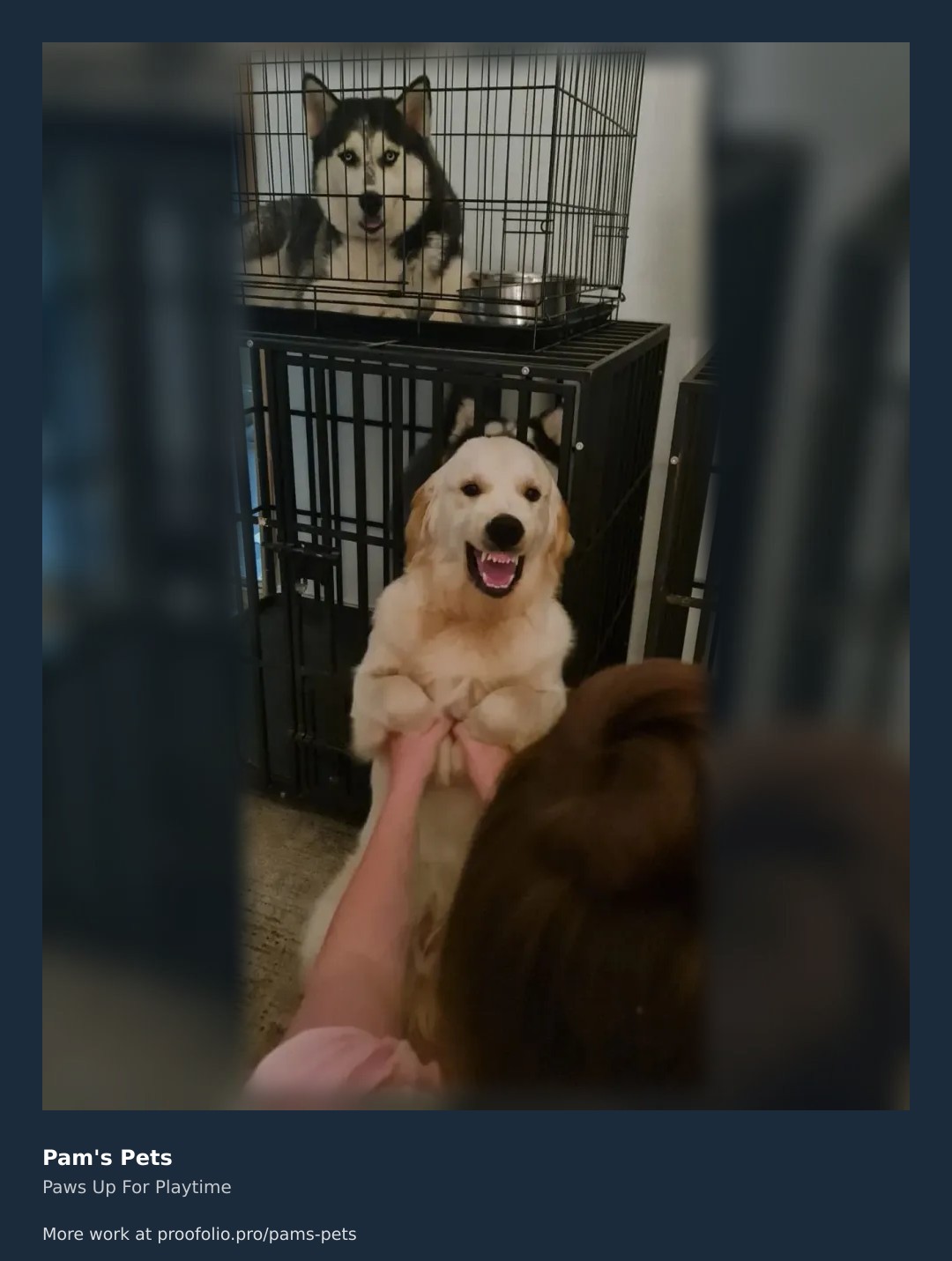 There is never a dull moment with this pair! We loved spending time with these two todayโone looking on from the crate while this happy pup gets some extra attention. Whether it's playtime or just a little extra love while you're away, we've got you covered. Check out our full portfolio and request a free quote for your furry friends! ๐ถโจ #dogwalker #petsitter #truro https://proofolio.pro/pams-pets