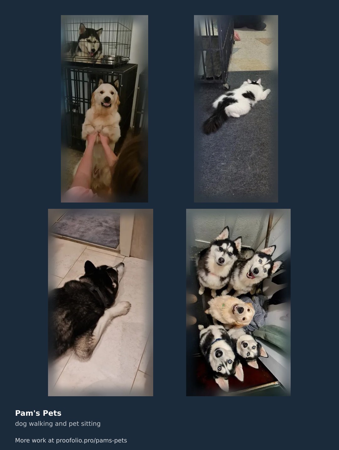 dog walking and pet sitting