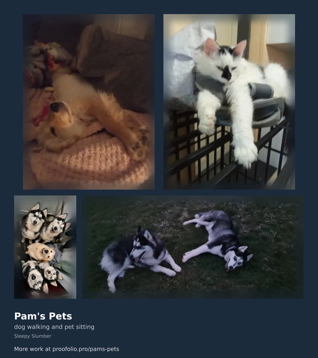 dog walking and pet sitting